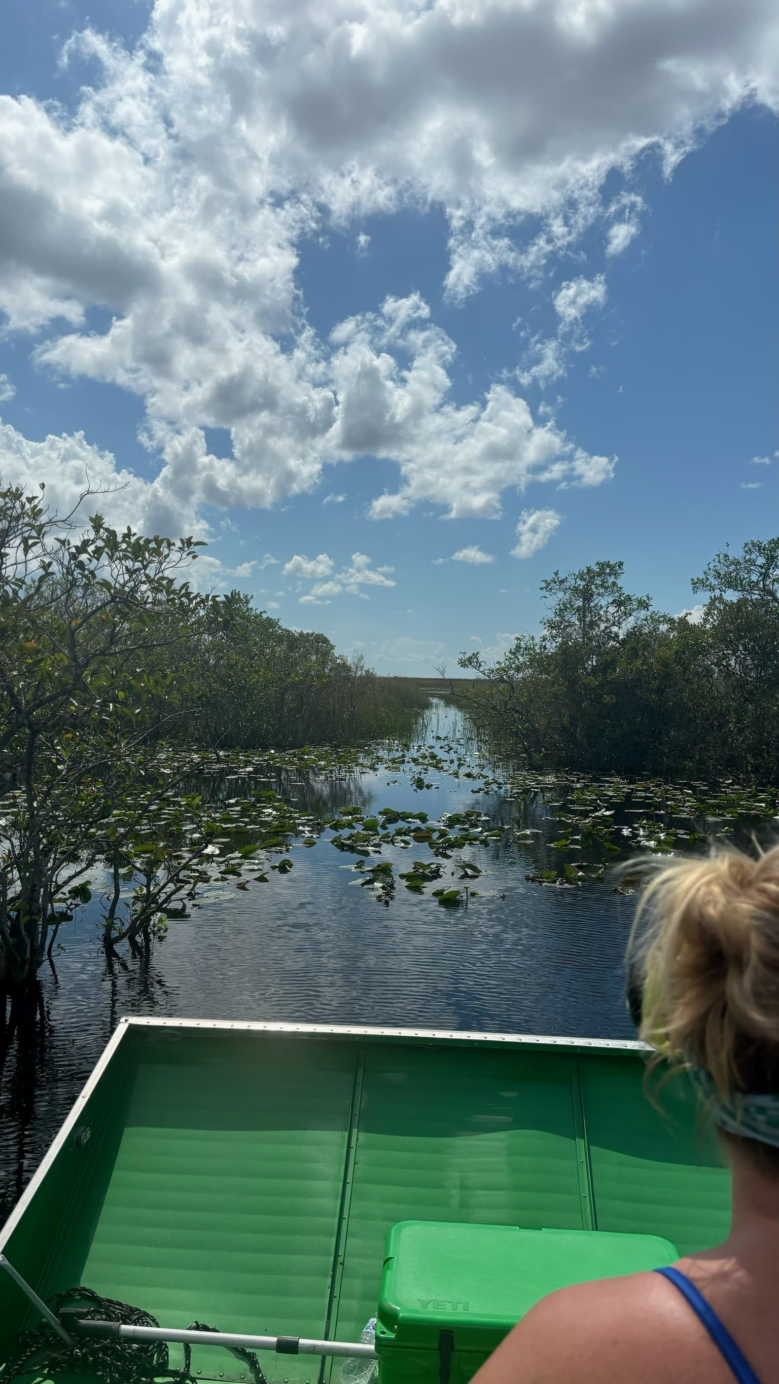 Airboat-Tour mitten in den Everglades