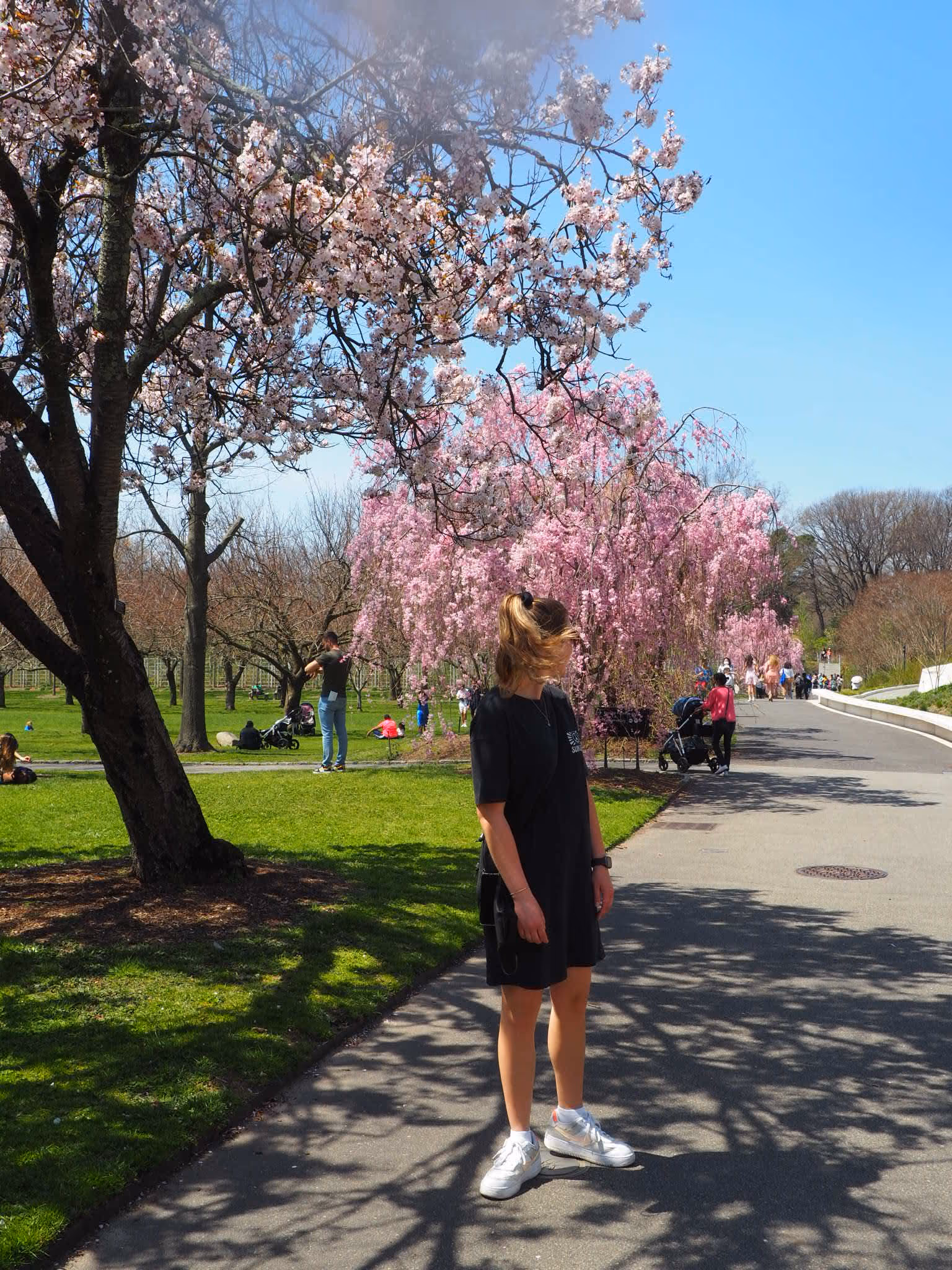 Im Brooklyn Botanic Garden
