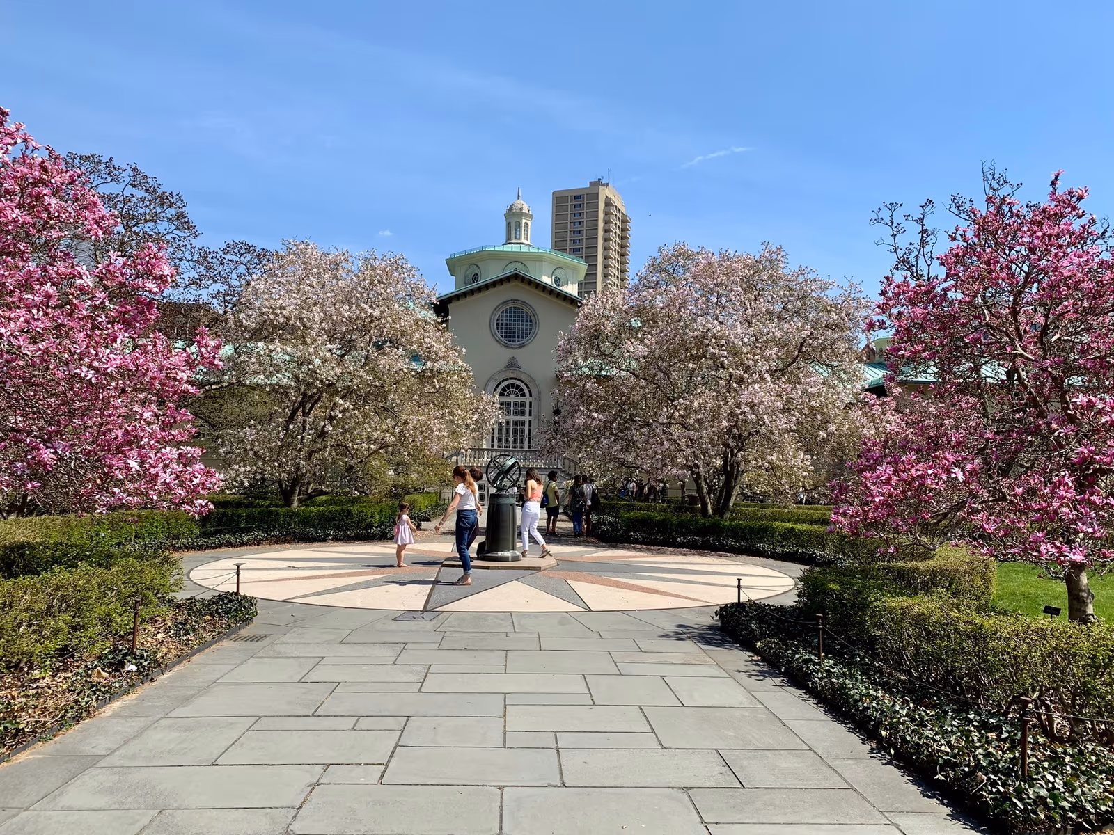 Blühende Kirschbäume im Brooklyn Botanic Garden
