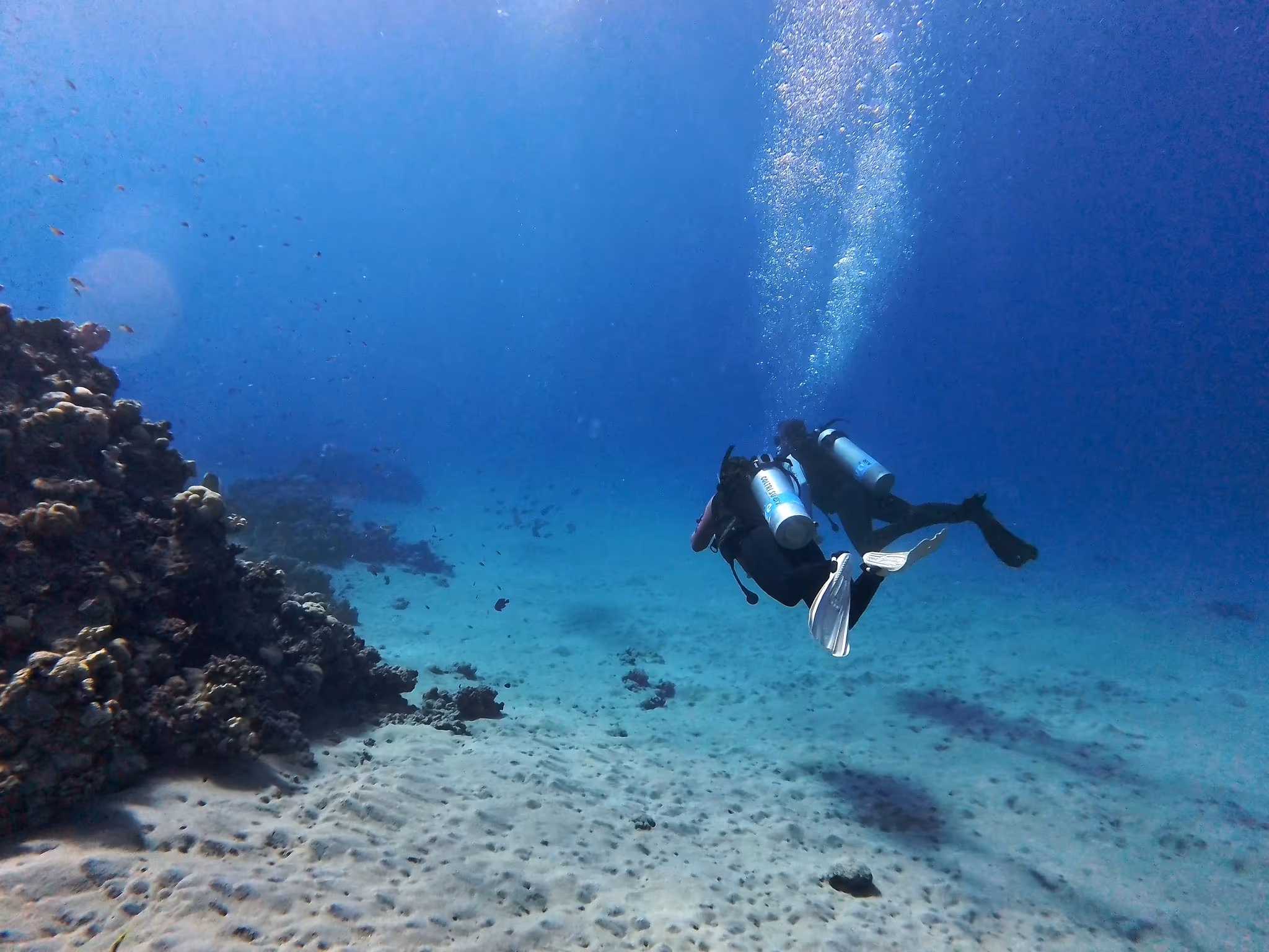 Mein PADI Open Water Diver im Roten Meer