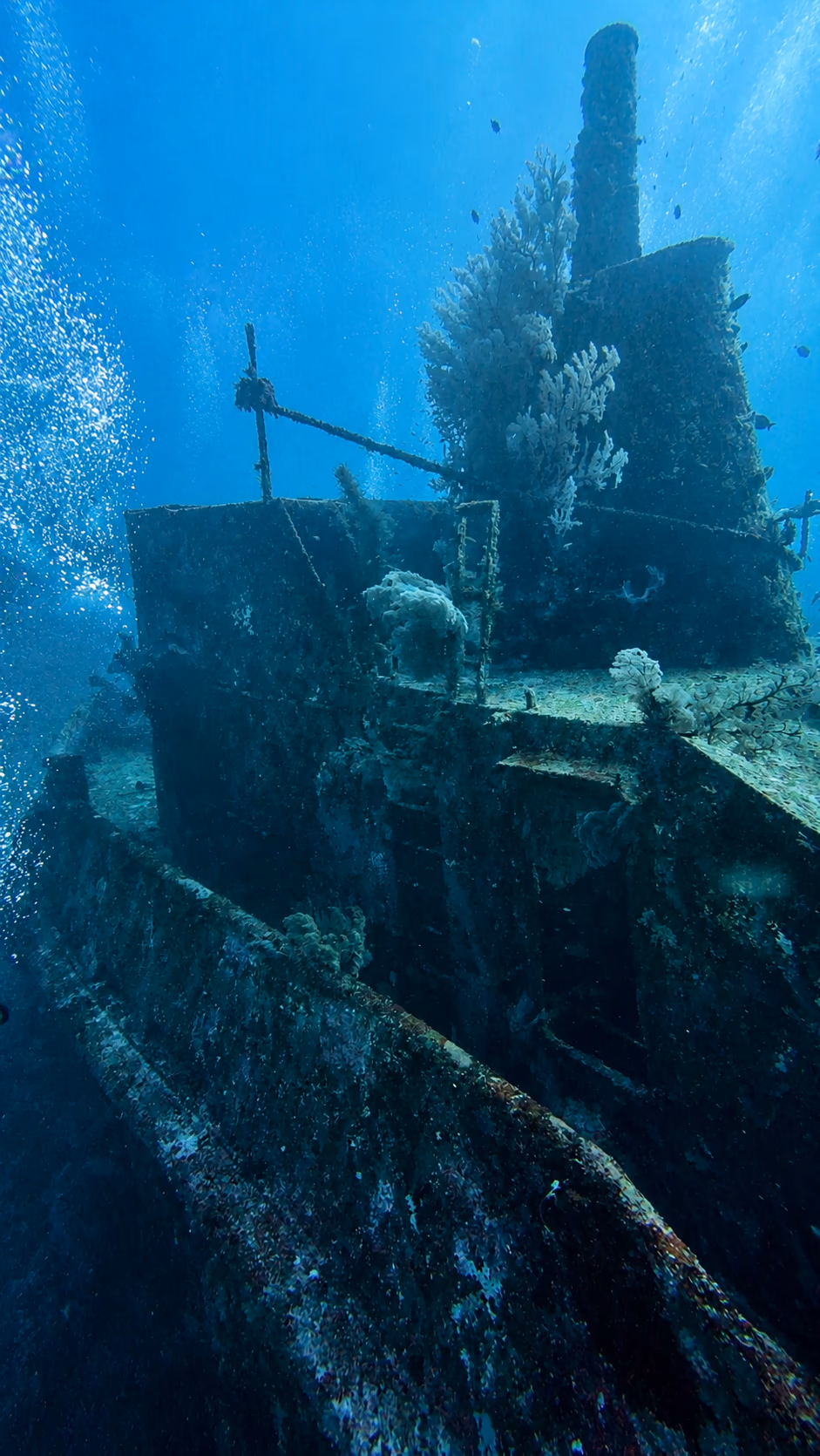 Glenn-Nusa-Wrack vor Gili T