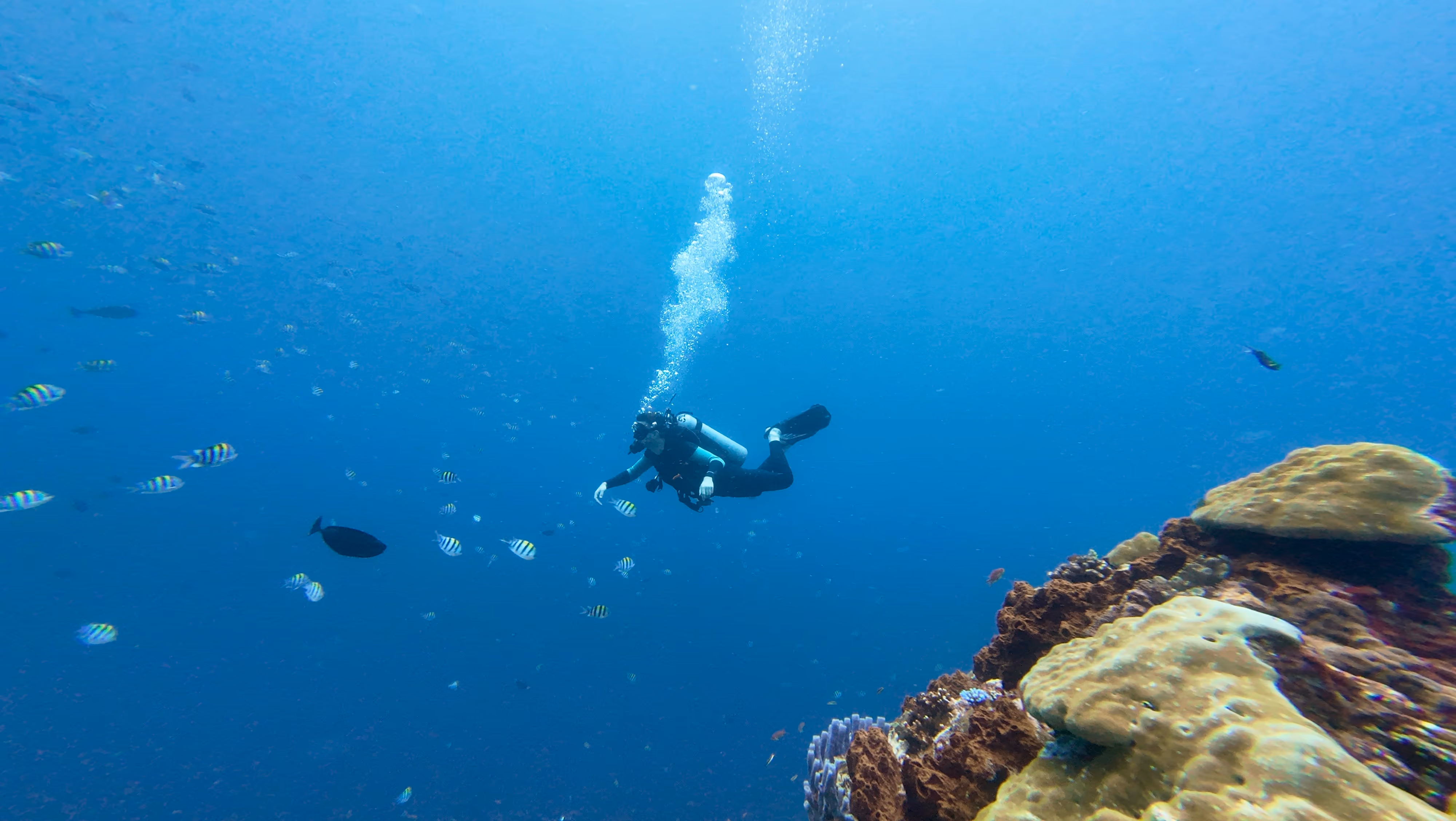 Tauchspot PED vor Nusa Penida